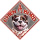 Aimant CHIEN A BORD - Magnet Toon orange vif - Panneau aimanté de VOITURE MAX FAMILY