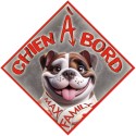 Aimant CHIEN A BORD - Magnet Toon orange vif - Panneau aimanté de VOITURE MAX FAMILY