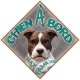 Aimant CHIEN A BORD - Magnet Toon Turquoise - Panneau aimanté de VOITURE MAX FAMILY