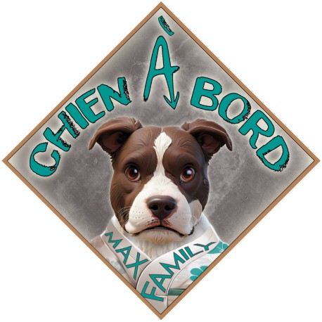 Aimant CHIEN A BORD - Magnet Toon Turquoise - Panneau aimanté de VOITURE MAX FAMILY