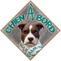 Aimant CHIEN A BORD - Magnet Toon Turquoise - Panneau aimanté de VOITURE MAX FAMILY