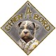 Aimant CHIEN A BORD - Magnet Toon OR - Panneau aimanté de VOITURE MAX FAMILY