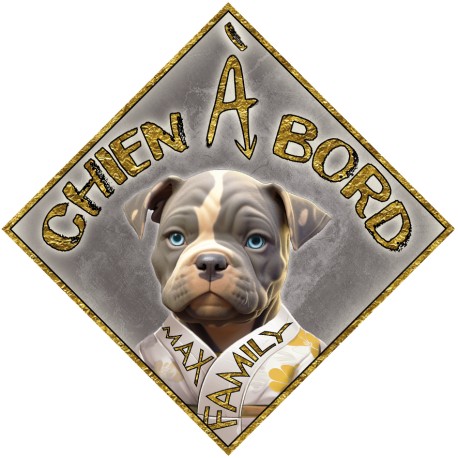 Aimant CHIEN A BORD - Magnet Toon OR - Panneau aimanté de VOITURE MAX FAMILY