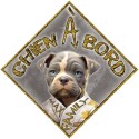 Aimant CHIEN A BORD - Magnet Toon OR - Panneau aimanté de VOITURE MAX FAMILY