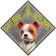 Aimant CHIEN A BORD - Magnet Toon Vert - Panneau aimanté de VOITURE MAX FAMILY