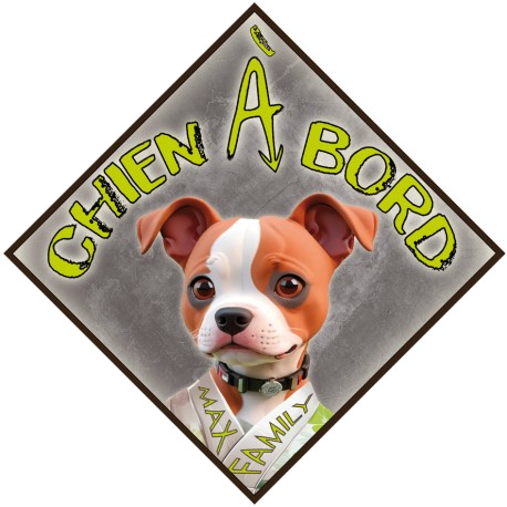 Aimant CHIEN A BORD - Magnet Toon Vert - Panneau aimanté de VOITURE MAX FAMILY