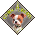 Aimant CHIEN A BORD - Magnet Toon Vert - Panneau aimanté de VOITURE MAX FAMILY
